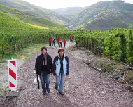 2008 Moselwanderung 