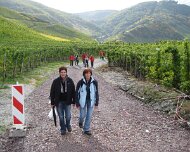 2008 Moselwanderung 