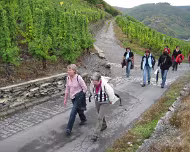 2008 Moselwanderung 