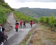 2008 Moselwanderung 