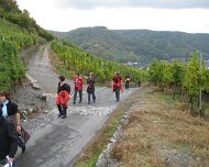 2008 Moselwanderung 