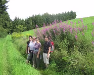 2012 All you can eat 