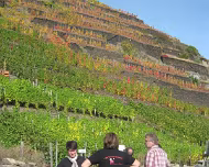 2012 Rotweinwanderung