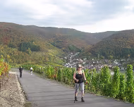 2012 Rotweinwanderung