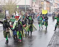 2013 Rosenmontag 