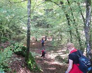 2014 Moselwanderung 