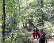 2014 Moselwanderung 