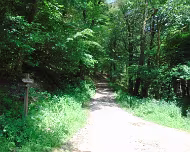 2014 Sommerwanderung 