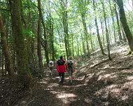 2014 Sommerwanderung 