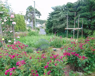 2014 Sommerwanderung 