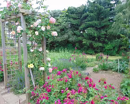 2014 Sommerwanderung 