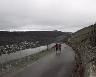 Weihnachtsmarkt Bernkastel 2015 