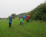 2016 Krimiwanderung 