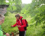 2016 Krimiwanderung 
