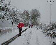 2016 Winterwanderung 