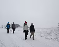 2017 Winterwanderung 