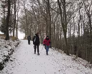 2017 Winterwanderung 