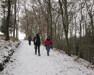 2017 Winterwanderung 