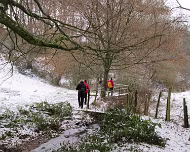 2017 Winterwanderung 