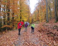 11.11.2018 Feuerscheid 