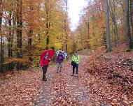 11.11.2018 Feuerscheid 