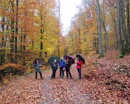 11.11.2018 Feuerscheid 