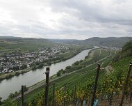 Herbstwanderunger Brauneberg 2018 