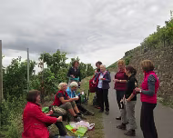 Herbstwanderunger Brauneberg 2018 