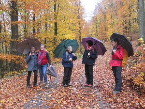 11.11.2018 Feuerscheid "De Joch der Deijweln"