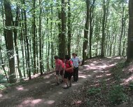 Sommerwanderung 29.06.2019 