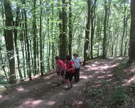 Sommerwanderung 29.06.2019 