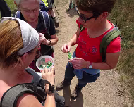 Sommerwanderung 11.07.2020 