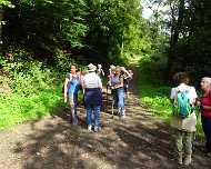 2021 Sommerwanderung 