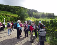 2022 Rotweinwanderung 
