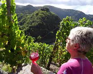 2022 Rotweinwanderung 