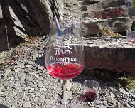 2022 Rotweinwanderung 