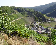 07.-08.10.2023 Rotweinwanderung Ahr 