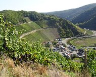 07.-08.10.2023 Rotweinwanderung Ahr 