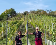 07.-08.10.2023 Rotweinwanderung Ahr 