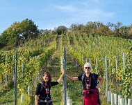 07.-08.10.2023 Rotweinwanderung Ahr 