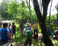 24.06.2023 Sommerwanderung 