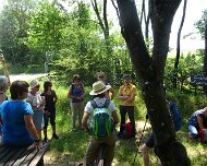 24.06.2023 Sommerwanderung 