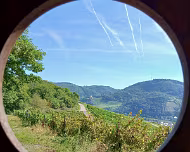 20.09.25 Moselwanderung 